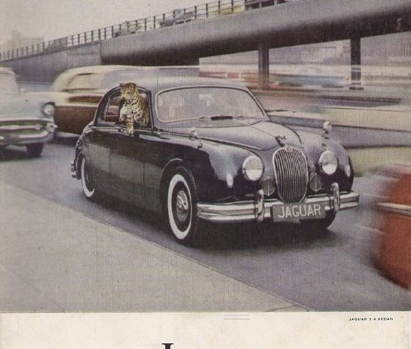 1957 Jaguar Ad